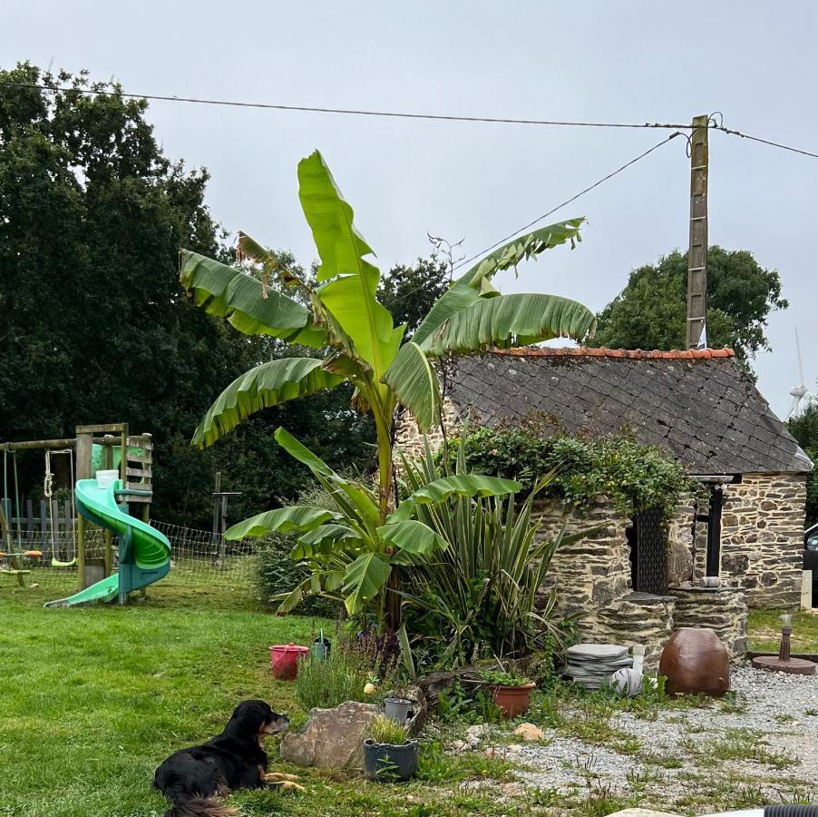 Saint-Guen Maison D'Hotes Ty Belle מראה חיצוני תמונה